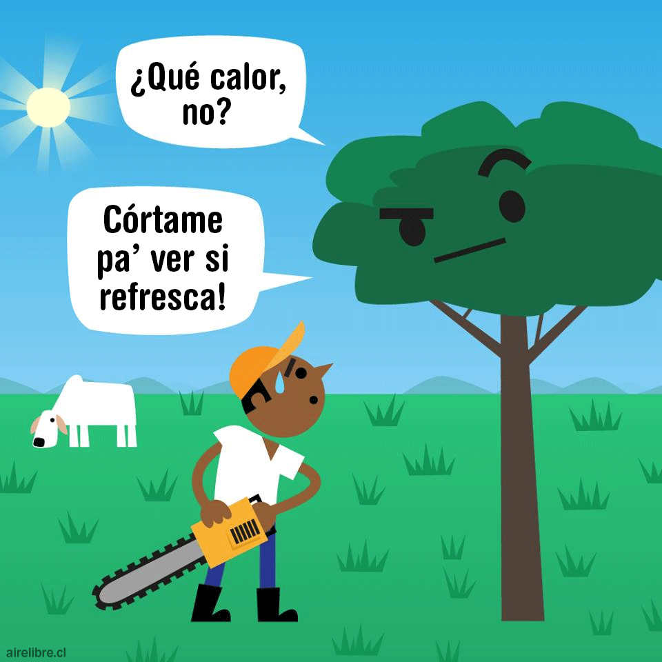 Cortar Arboles Aumenta Calor Educacion Ambiental Ilustracion Traduccion Diego Weissel 960x960 Aire Libre Educacion Ambiental