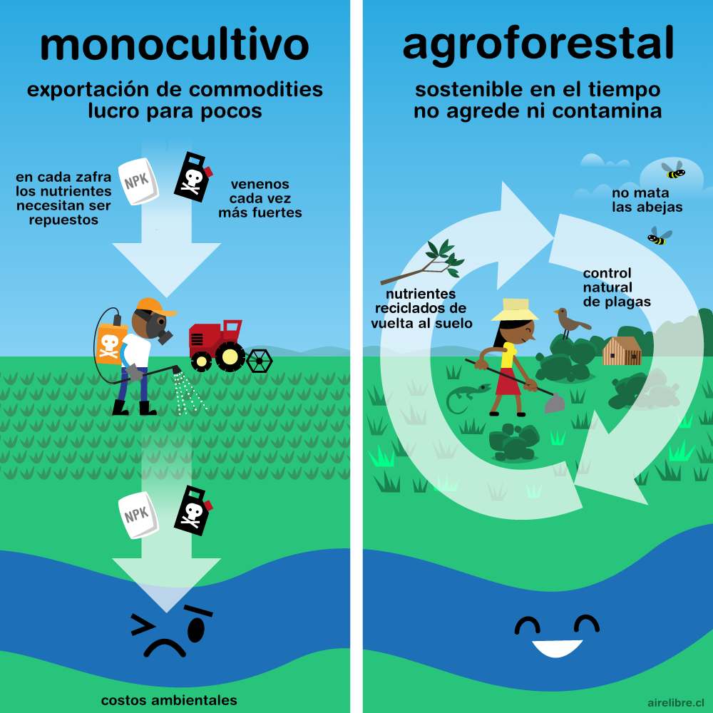 Monocultivo Vs Sistema Agroflorestal Beneficios Traduccion Espanol Ingles Portugues Diego Weissel Aire Libre Educacion Ambiental