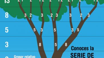 serie de Fibonacci en los arboles